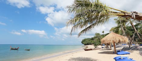 Vue sur la plage/l’océan