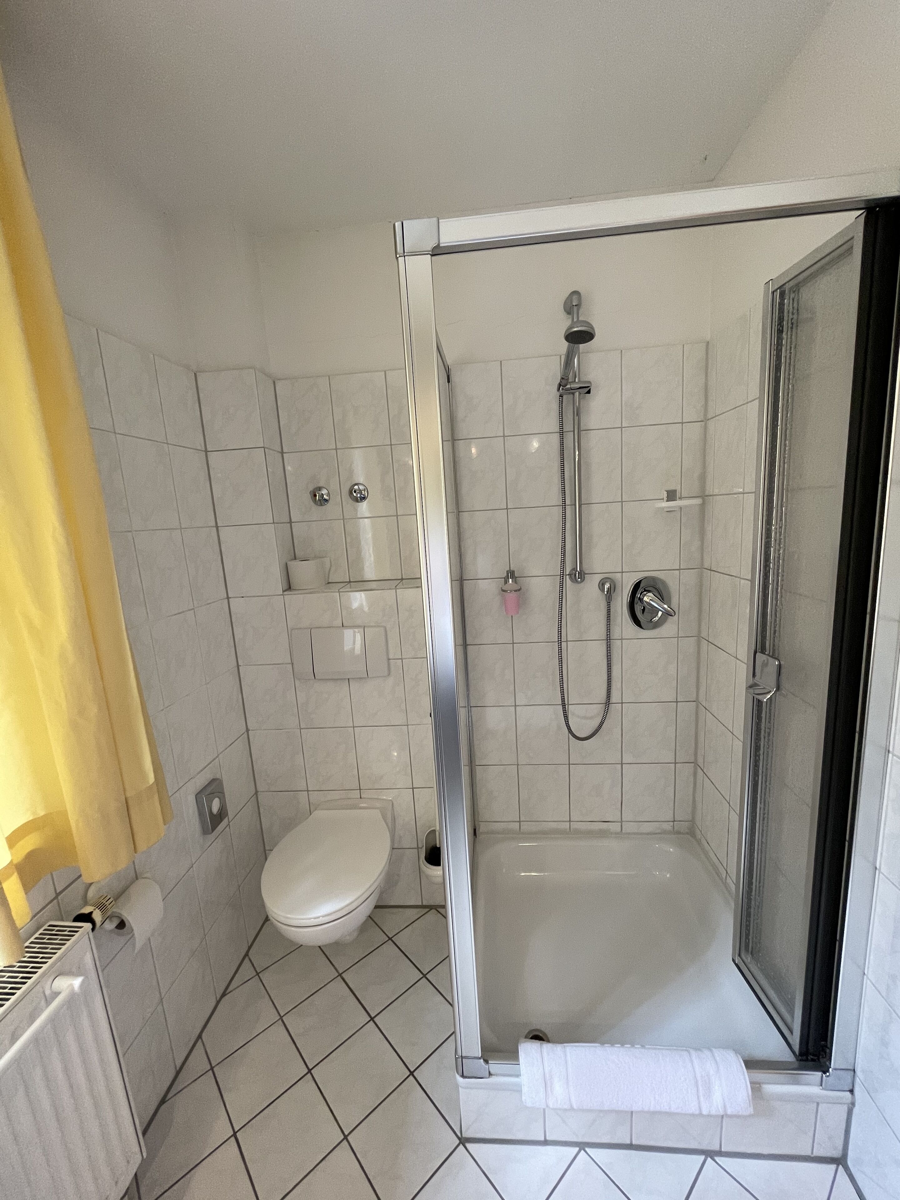 A modern bathroom with a glass-enclosed shower, a toilet, and a towel rack.