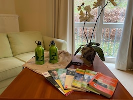 Una televisión de pantalla plana