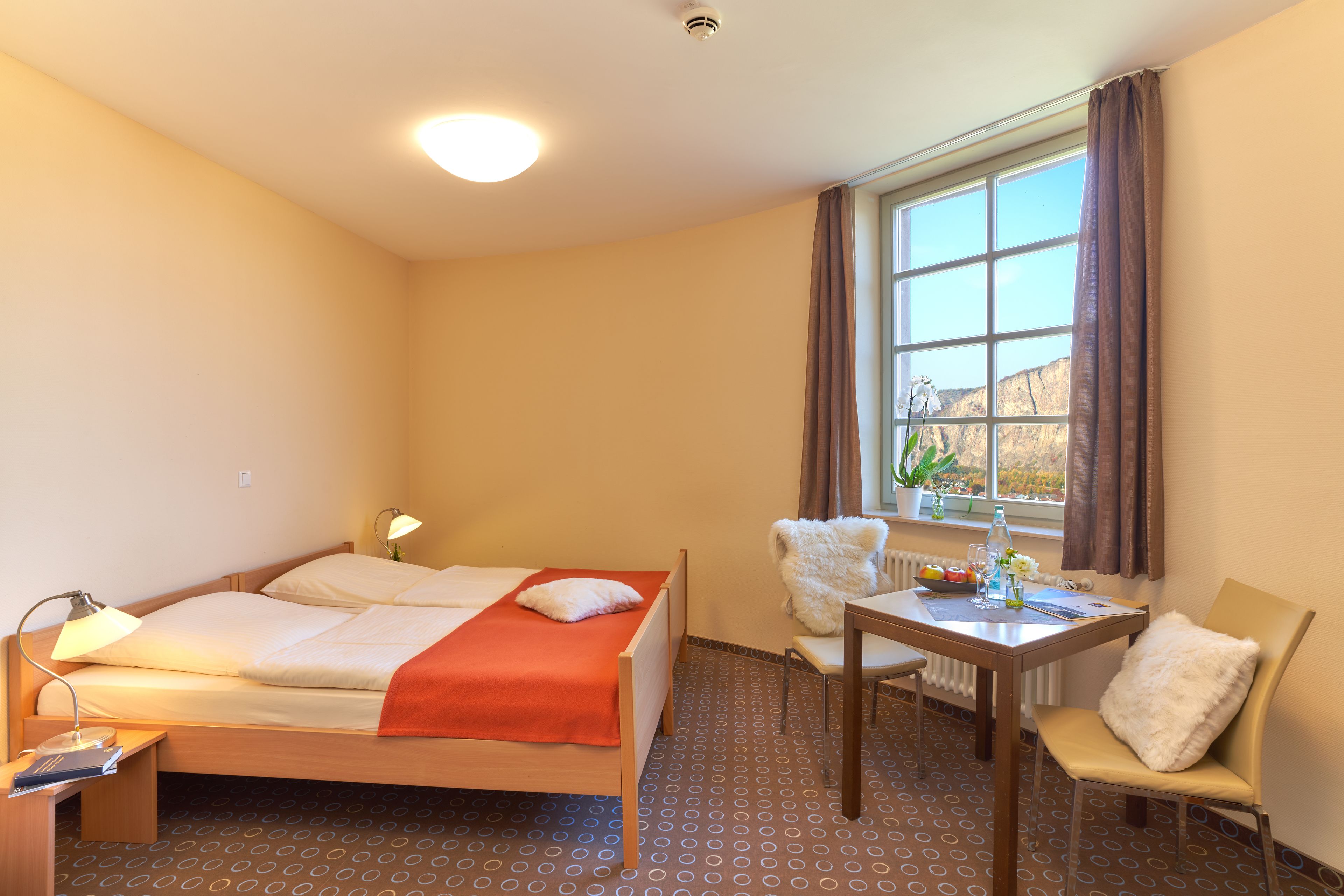 basic double or twin room | desk, free wifi, bed sheets