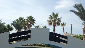 Piscina moderna com uma ponte, rodeada por palmeiras e um céu límpido.