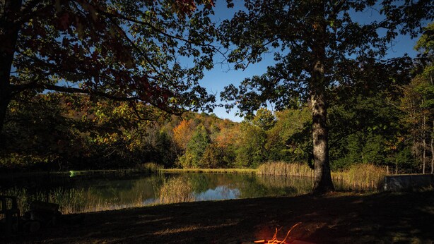 Un feu de camp dans une zone boisée, avec un lac en arrière-plan.