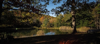 Ebb~n~Flow-Rustic-Solar Cabin-Heated-Hiking-Biking-Pond-Wildlife-Dark Skies-Pets