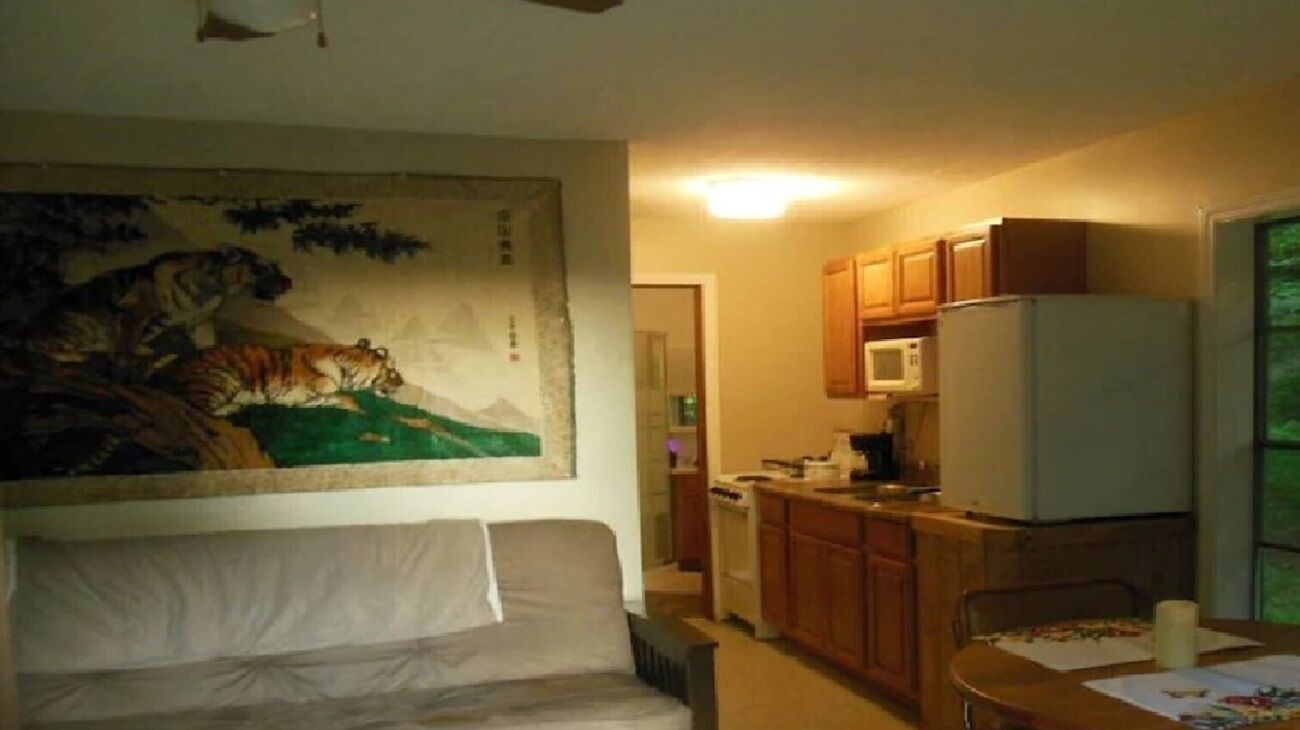 Una sala de estar con un sofá, un cuadro de un tigre y una zona de cocina con armarios y un refrigerador.