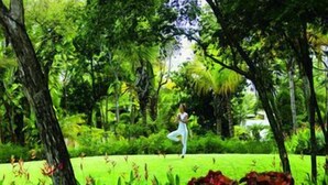 A person practicing yoga in a lush, green outdoor setting. - Dorado Beach a Ritz Carlton Reserve (Dorado)