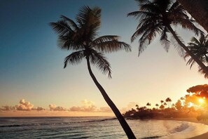 Beach - Dorado Beach a Ritz Carlton Reserve (Dorado)