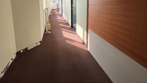 A long, narrow hallway with a red carpet, white walls, and wooden paneling on one side. - San Ho Business Hotel (Xiluo)