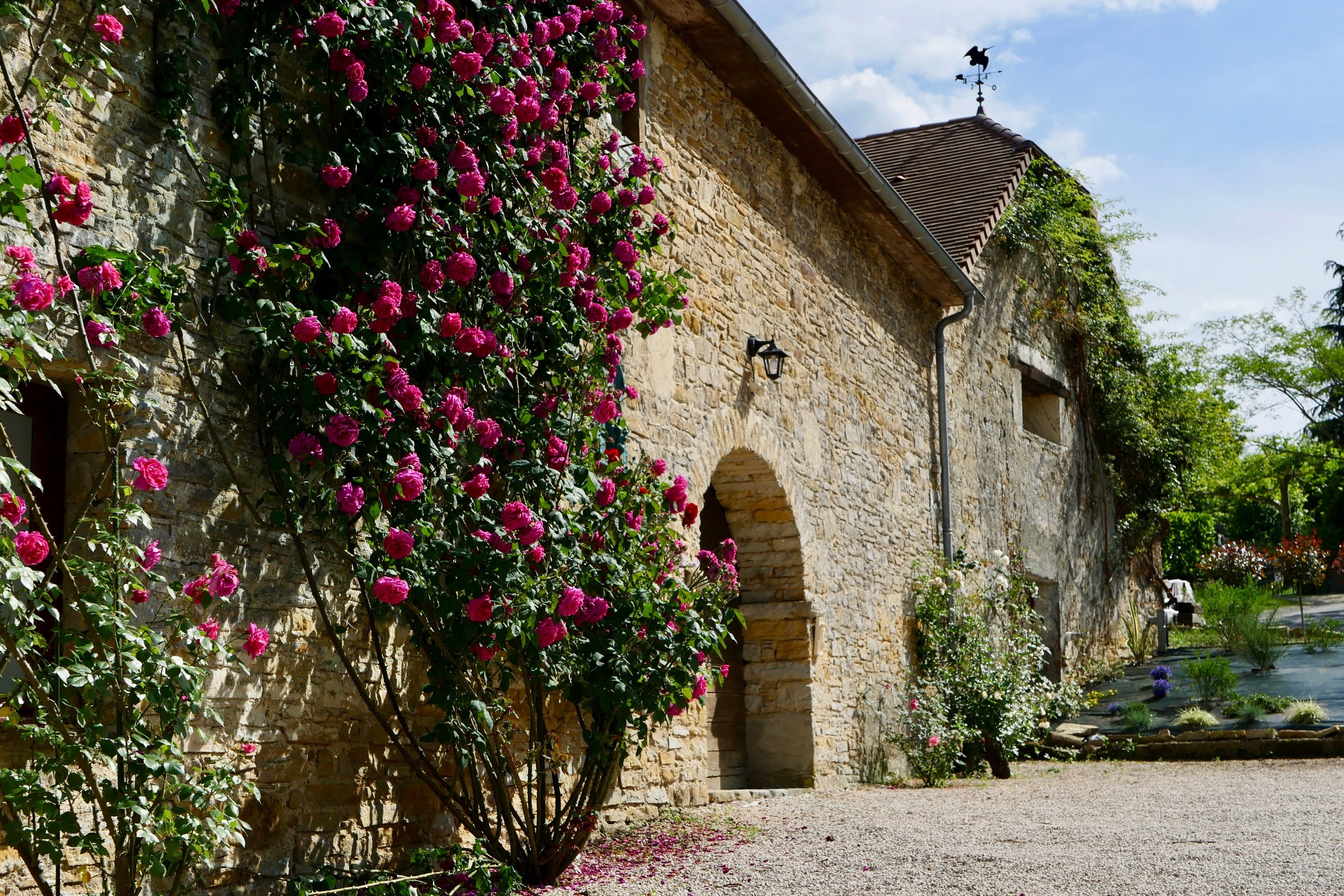 A stone building with a covered courtyard, a weather vane, and a rose bush.