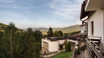 Elite Room, 2 Twin Beds | Terrace/patio