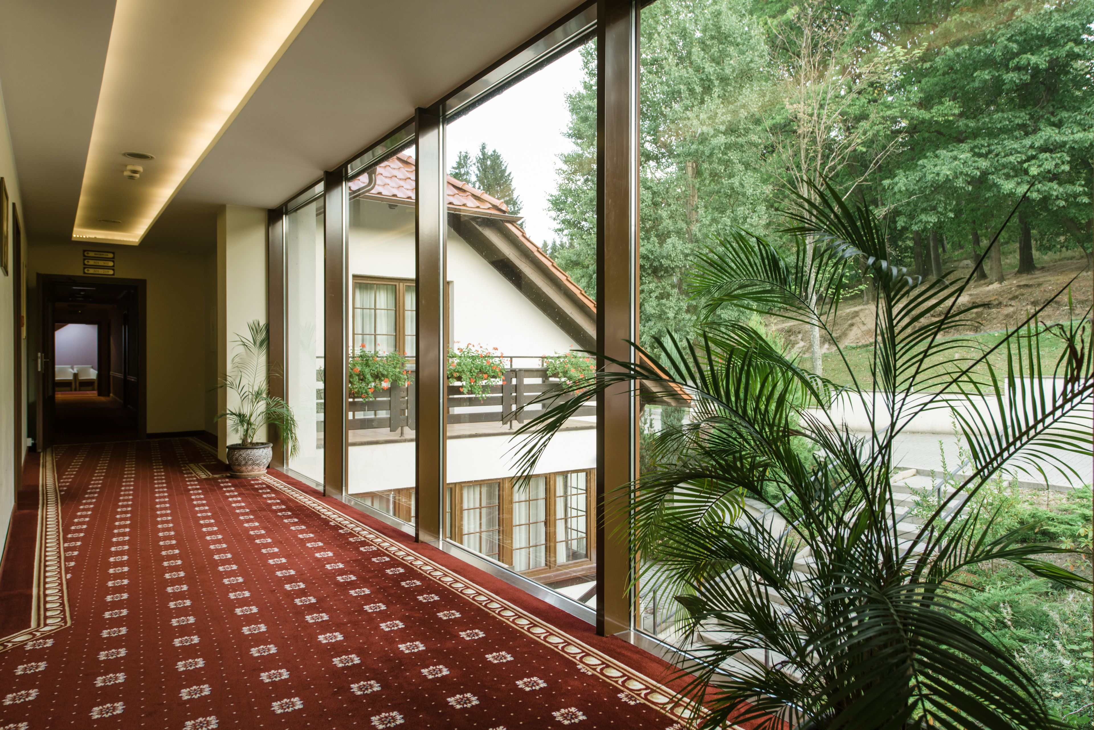 A hallway with a patterned carpet, large windows, and a potted plant.