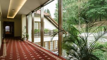 A hallway with a patterned carpet, large windows, and a potted plant.