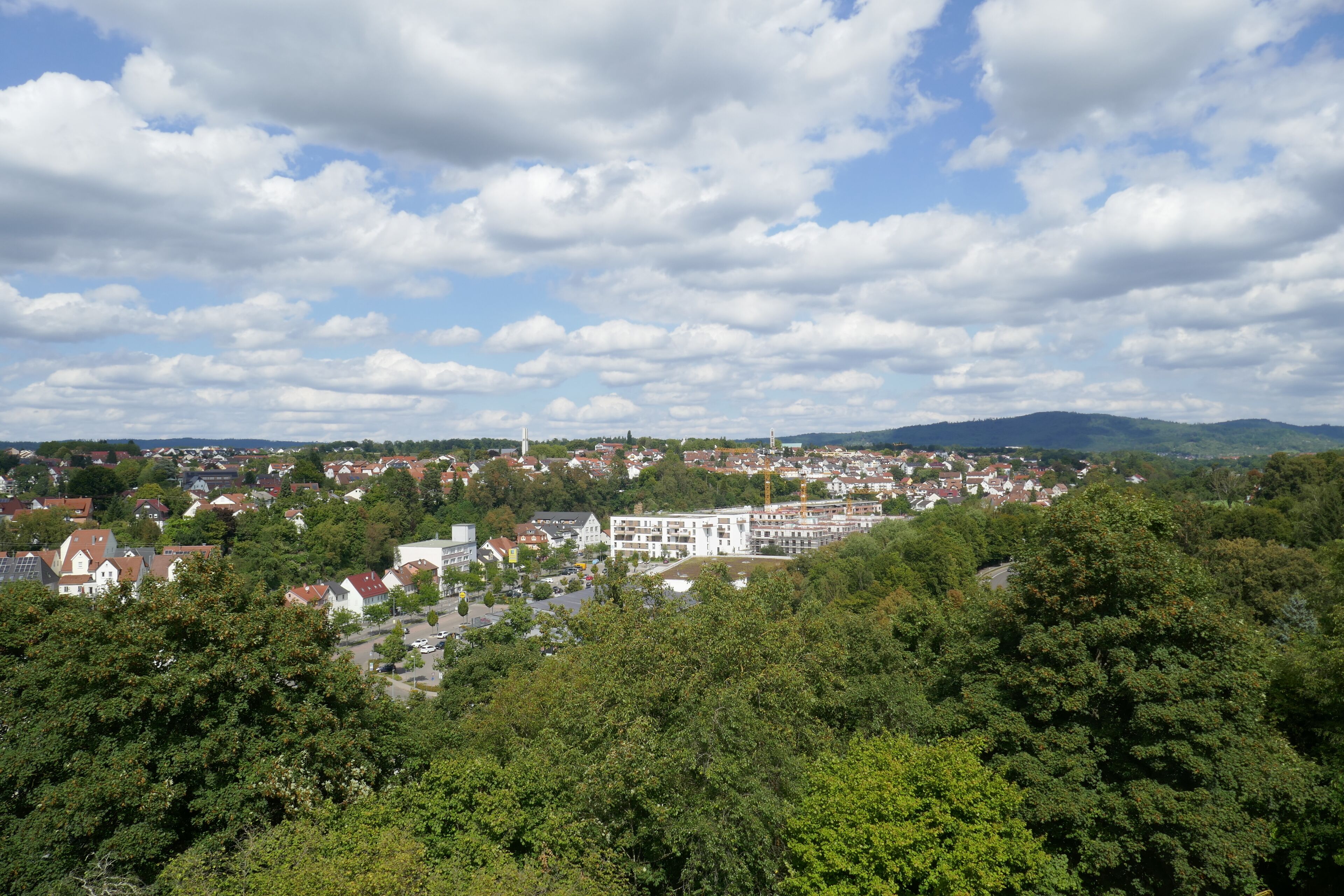 A town with a mix of residential and commercial buildings, surrounded by greenery.