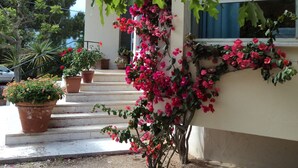 A building with a staircase leading to a door, surrounded by potted plants and flowering vines. - Hotel Le Pleiadi (San Felice Circeo)