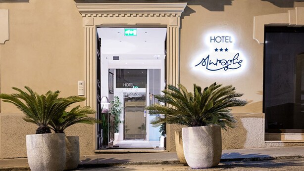 A hotel entrance with a sign reading "HOTEL Alwage" and a neon sign above. There are two potted plants in front. - Hotel Muraglie (Vibo Valentia)