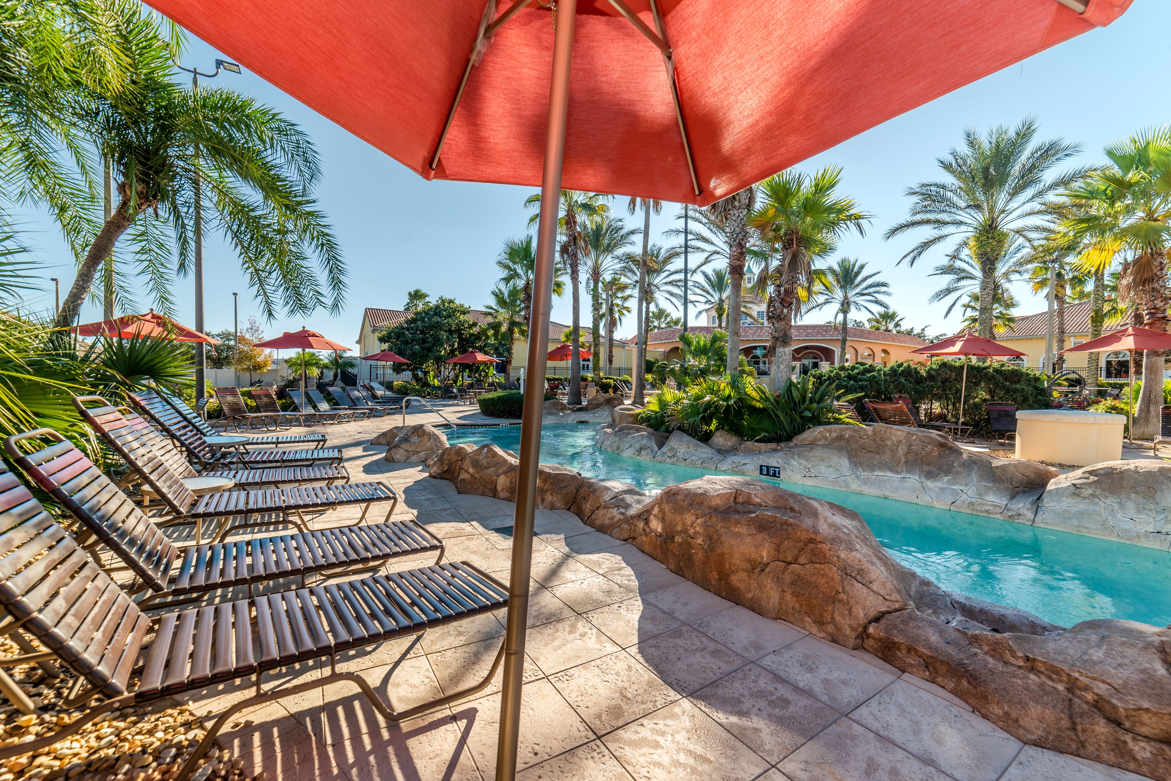 A pool area with lounge chairs and umbrellas, surrounded by palm trees and a clear sky.