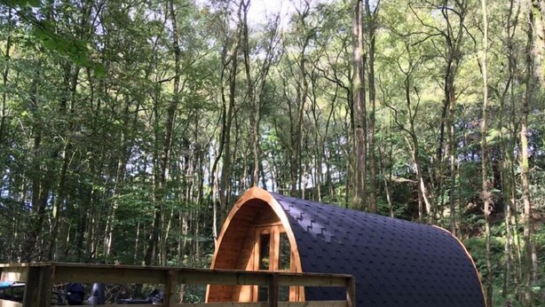 Una cabaña de madera con techo curvo en un bosque.