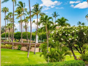 A lush garden with tall palm trees and a clear blue sky. - Kihei Ease Thrives! Lanai, Kitchen, AC, Laundry, WiFi+Flat Screen–Kamaole Sands 6203 (KIHEI)