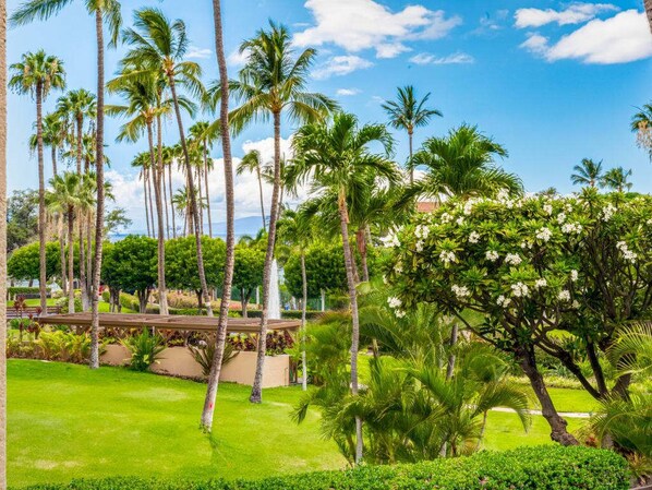 Property grounds - Kihei Ease Thrives! Lanai, Kitchen, AC, Laundry, WiFi+Flat Screen–Kamaole Sands 6203 (KIHEI)