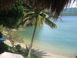 A beach with clear water, a palm tree, and a tent. - Dolphinbay Beachfront & Dive Resort (Puerto Galera)
