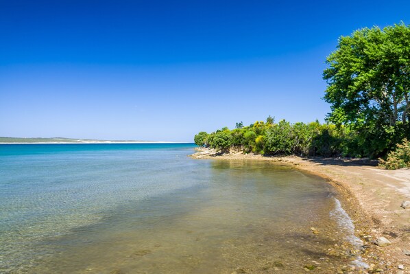 بالقرب من الشاطئ