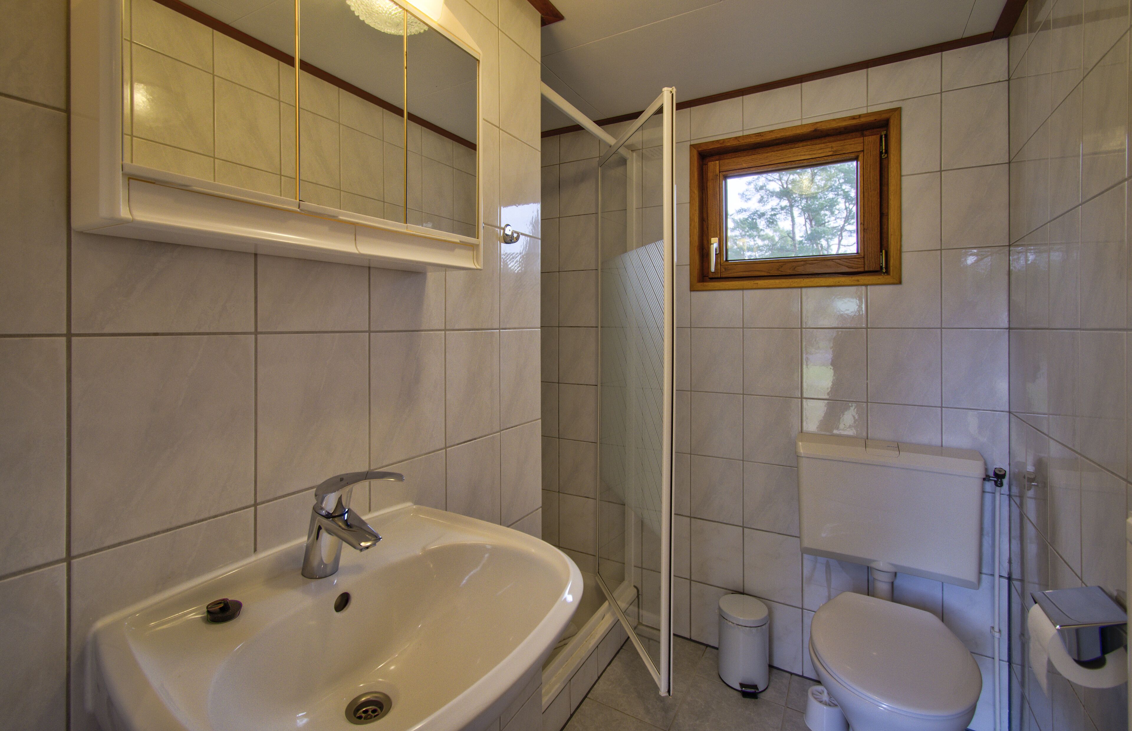 A bathroom with a sink, toilet, and shower.