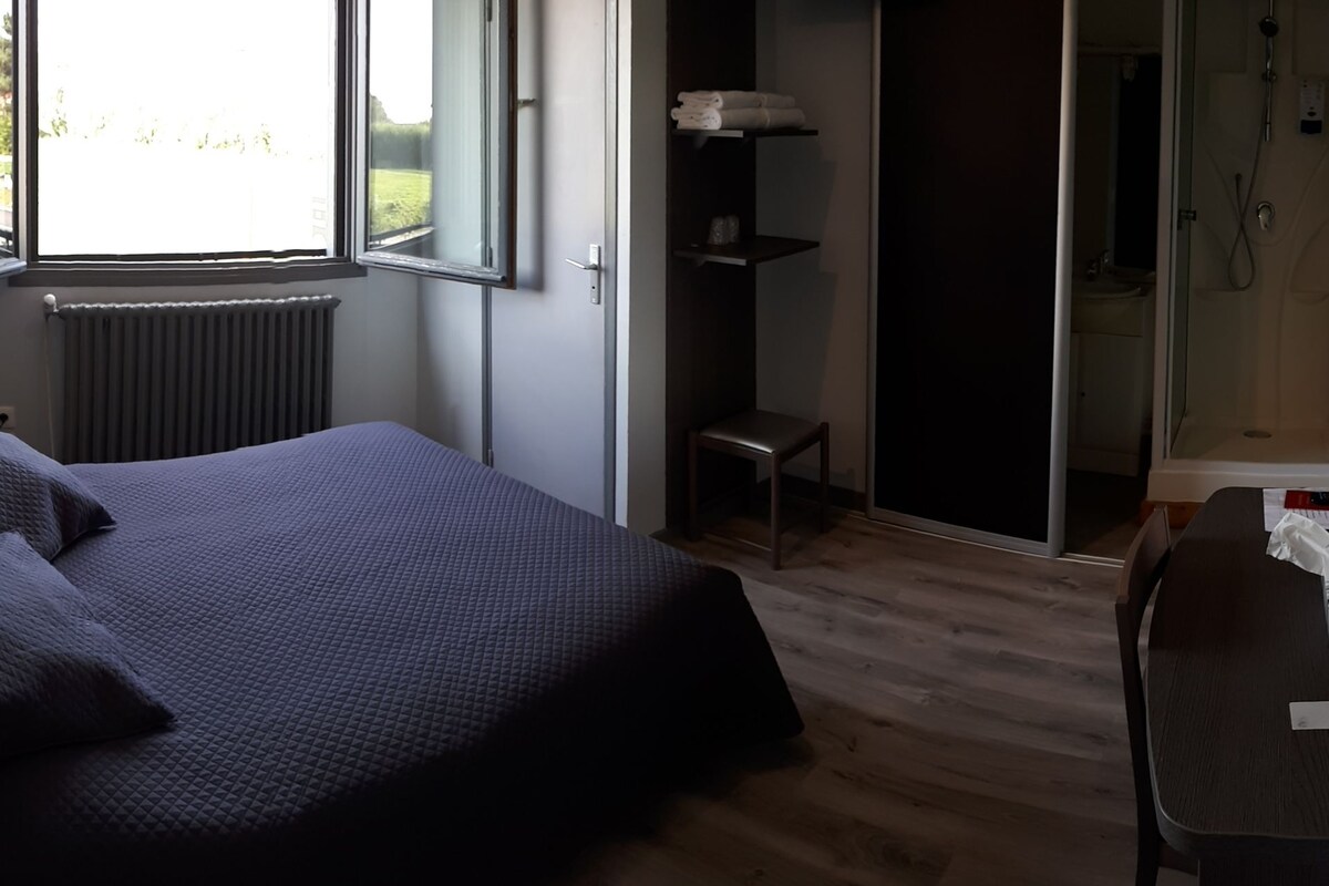 Chambre Double ou avec lits jumeaux