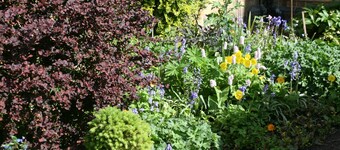 Penralley House B&B