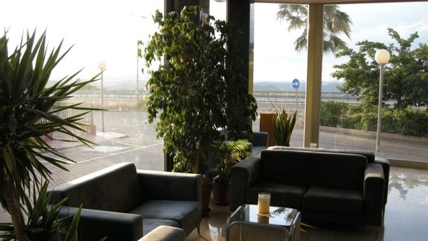 A modern lounge area with sofas and a coffee table, surrounded by potted plants and large windows offering a view of the road and palm trees. - Hotel SG Bullas (Bullas)