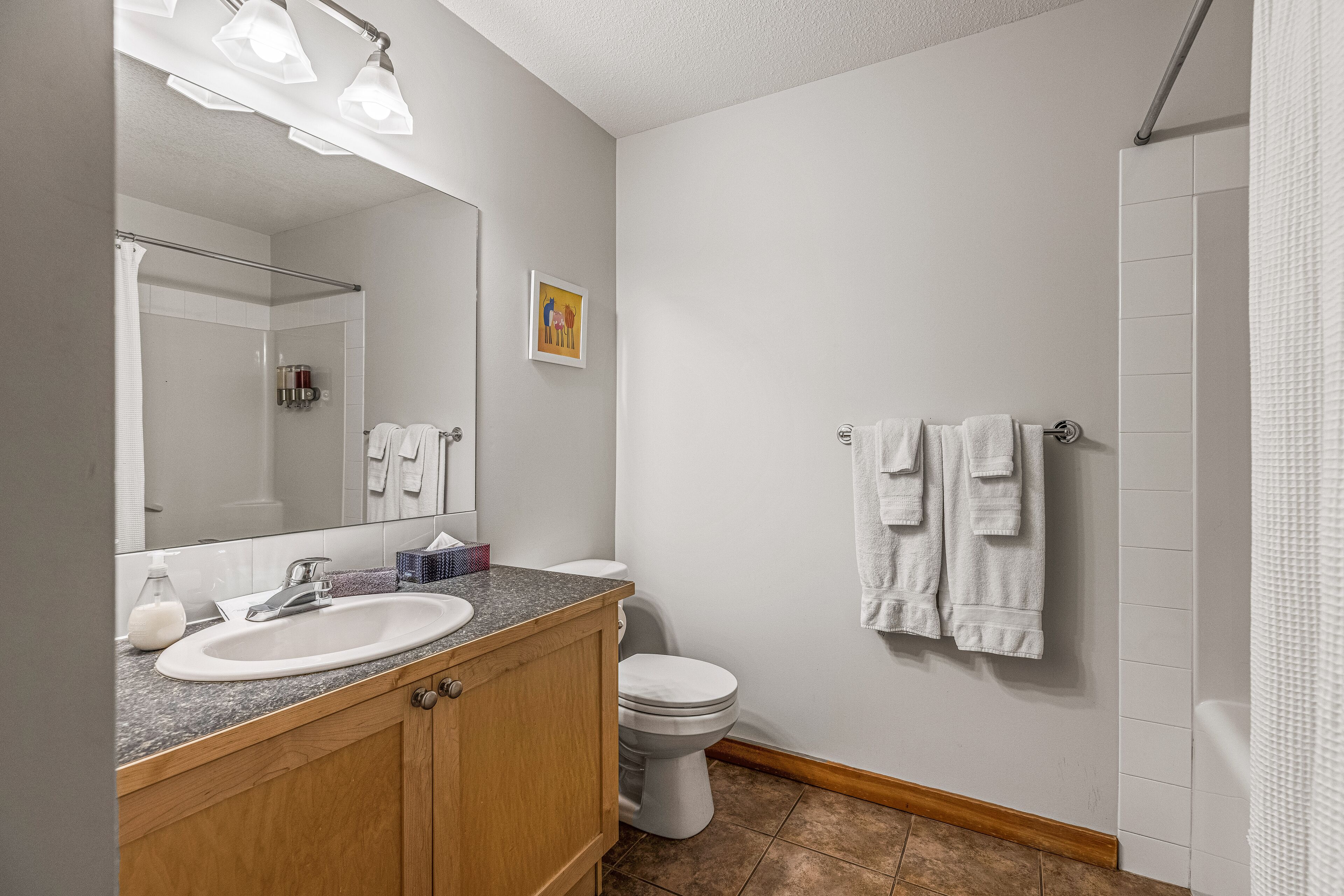 Une salle de bain équipée d’un lavabo, d’un miroir, de toilettes et d’une douche.