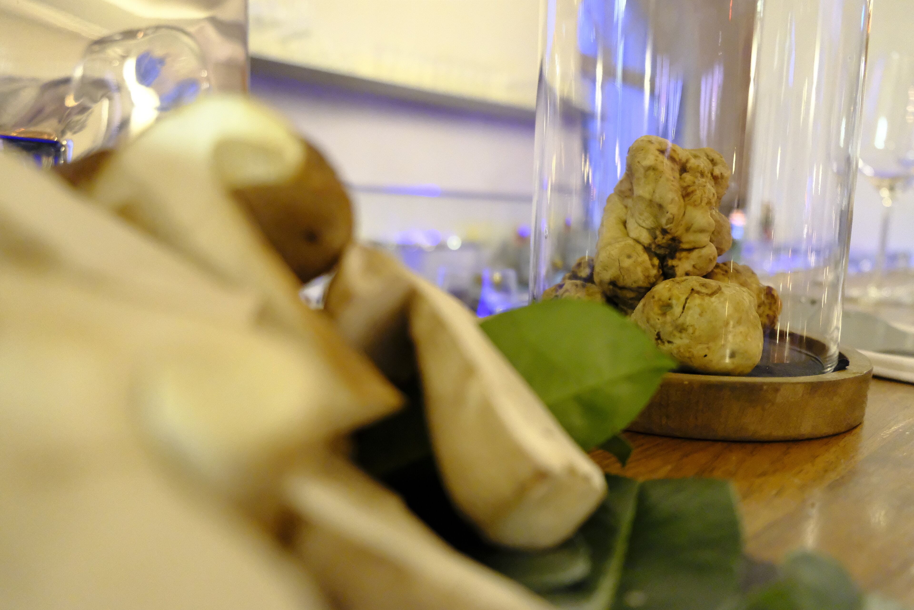 Ein Detailbild einer transparenten Glasvitrine, in der sich ein großes, strukturiertes Objekt, möglicherweise ein Kunstwerk oder eine Skulptur, auf einer Holzbasis befindet.