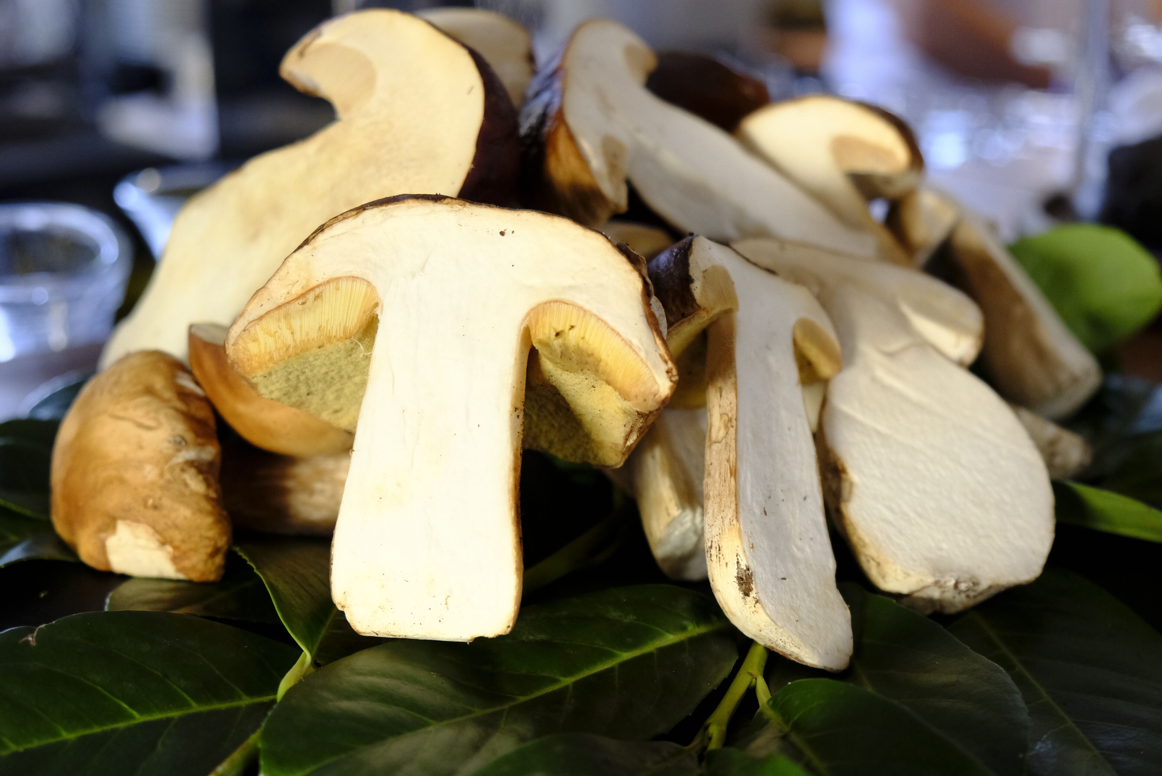 daily buffet breakfast (eur 16.9 per person)