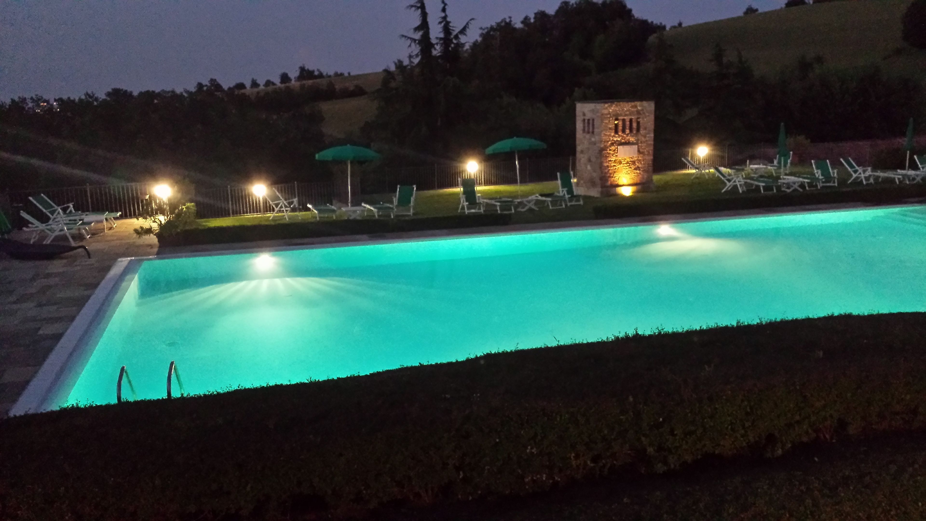 Seasonal outdoor pool, open 9 AM to 6 PM, pool umbrellas, pool loungers