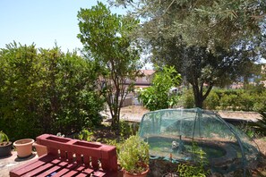 Exterior - Al Bianco Loto (Praia a Mare)