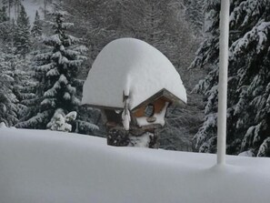A snow-covered wooden cabin with a sloped roof, surrounded by snow-laden trees. - Pension zum Fernblick (Willingen)