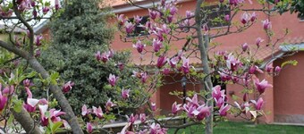 Il Sottosopra B&B