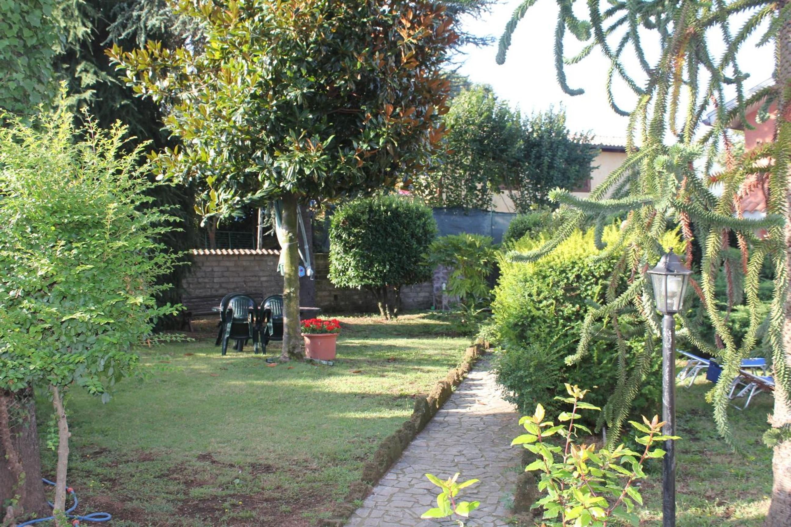 A garden with a paved pathway, various shrubs, and a small tree with red flowers.