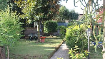 A garden with a paved pathway, various shrubs, and a small tree with red flowers.