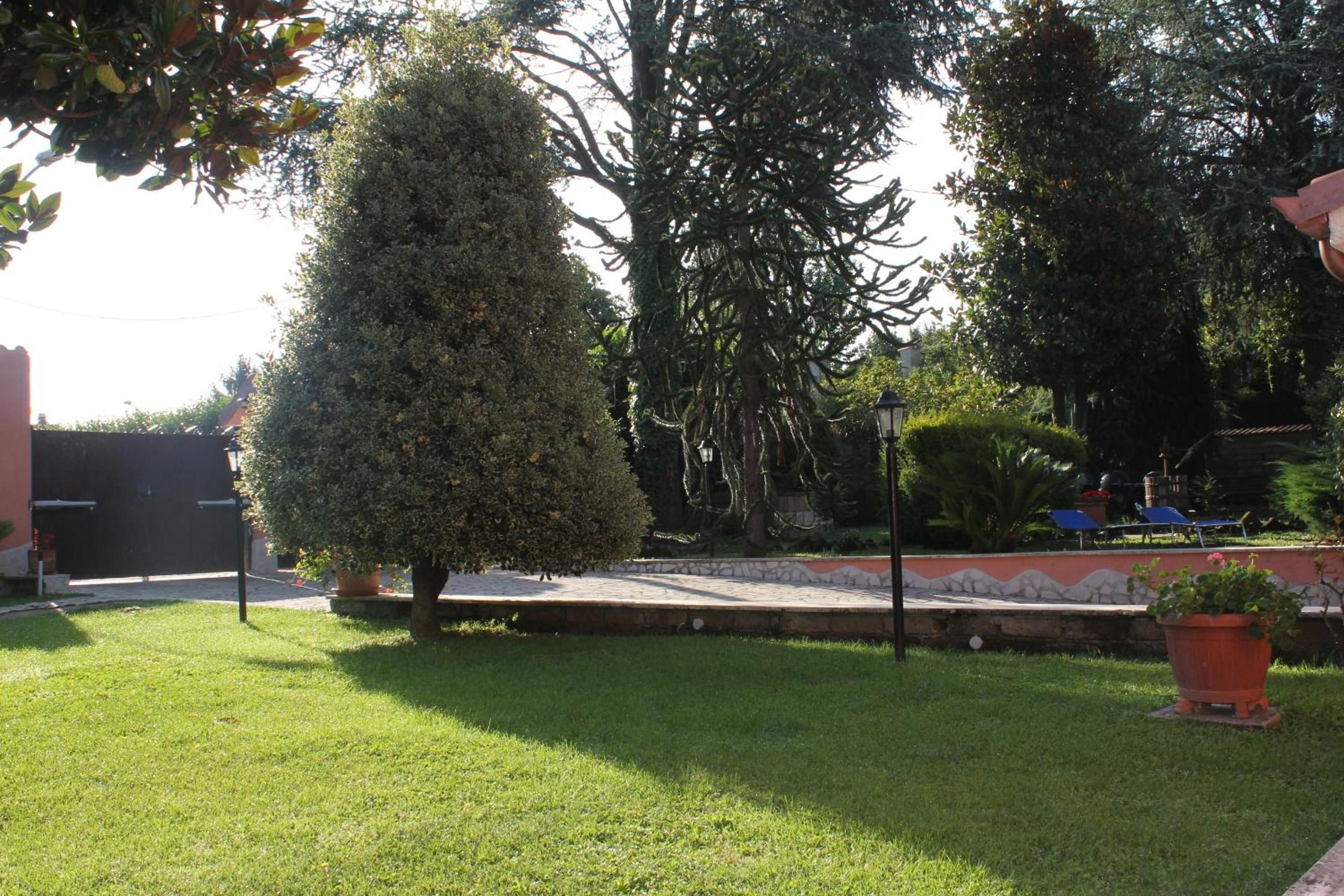 A well-maintained garden with a variety of trees and a paved walkway.
