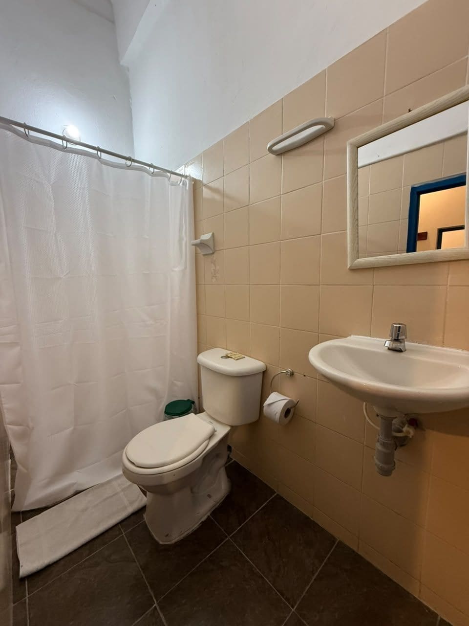 Een badkamer met toilet, wastafel en douchegordijn.