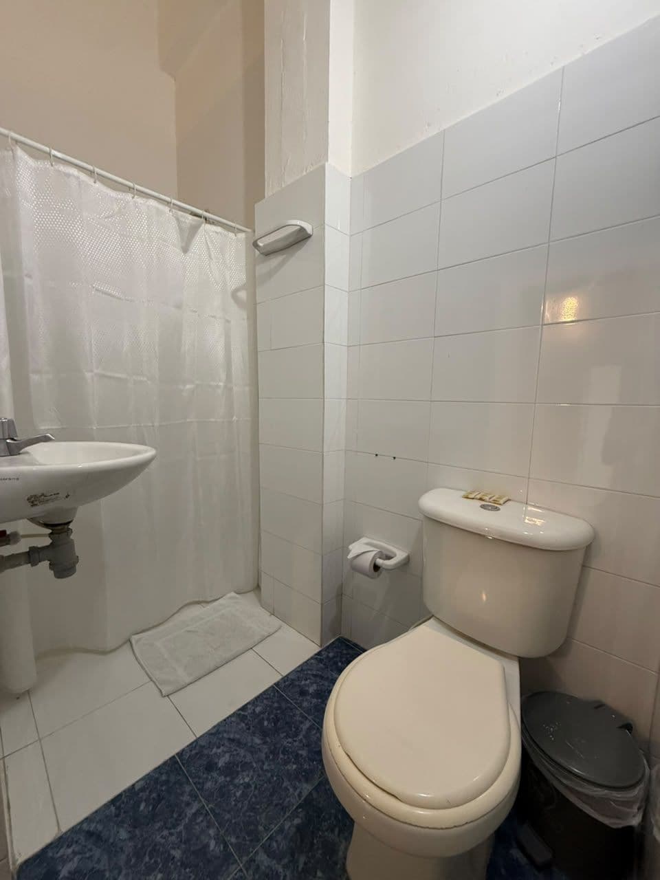 A bathroom with a white sink, toilet, and shower curtain.
