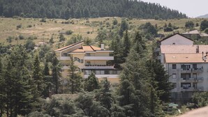 A residential area with multi-story buildings surrounded by dense trees. - La Villa Resort Charme & Relax (Pignola)
