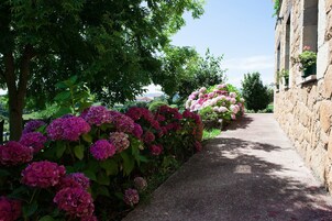 Un sendero bordeado de coloridas hortensias y un edificio de piedra con ventanas.