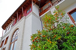 Exterior - Vila Sharm (Gjirokastër)