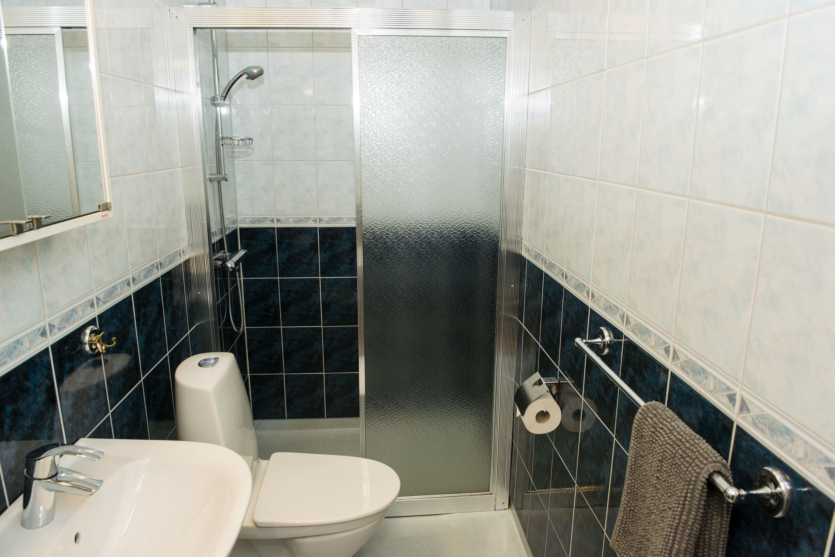 double room, kitchenette | bathroom | shower, hair dryer, towels, soap