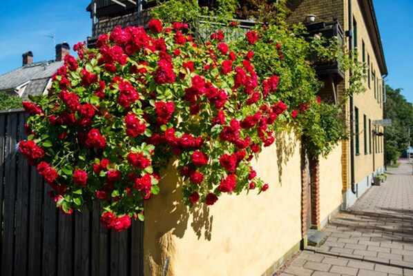 Front of property - Hotell 46an (Vanersborg)