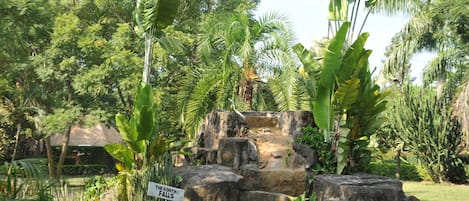 Vườn
