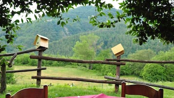 Speisen im Freien