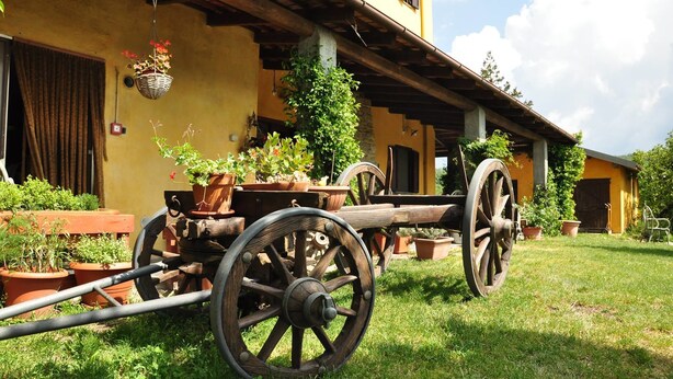A rustic outdoor area with a wooden cart and potted plants. - Agriturismo Le Piagge (Ponzone)