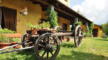 Khuôn viên nơi lưu trú