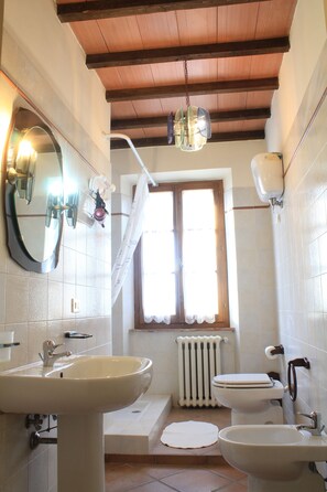 Basic Double Room | Bathroom | Shower, free toiletries, hair dryer, bidet - Agriturismo Le Stringaie (Montepulciano)